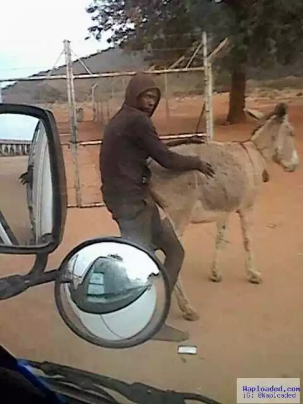 Photos: Man arrested with a hard-on after he was caught banging a donkey
